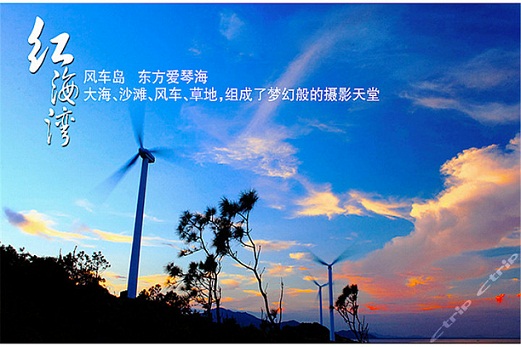 紅海灣風(fēng)車(chē)島